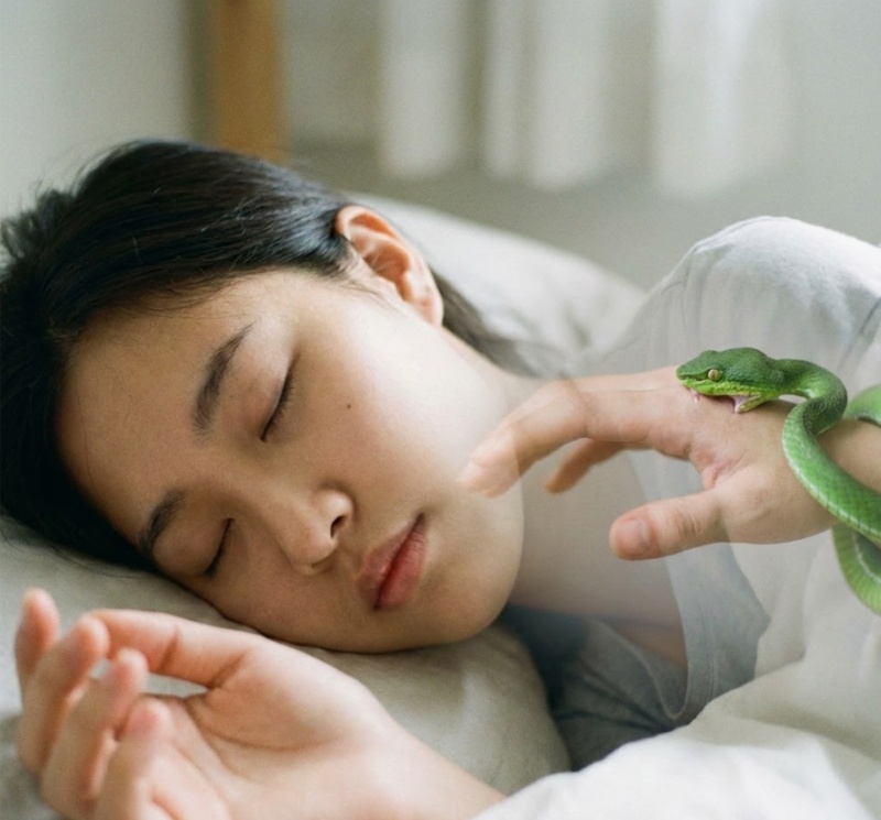 Mơ rắn lục cắn tay báo hiệu ghen tuông và cản trở